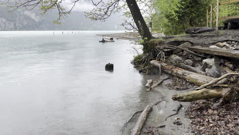 Cuento-De-Hadas-Como-La-Orilla-Del-Lago-Walensee-Adornado-Con-Madera-Y-Vegetación