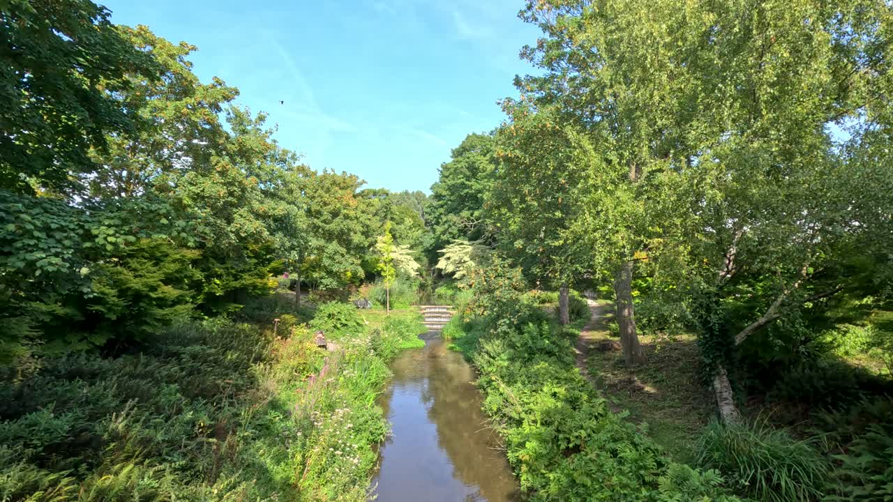 Static wide shot of tranquil canal, dense trees, and summer foliage under bright daylight