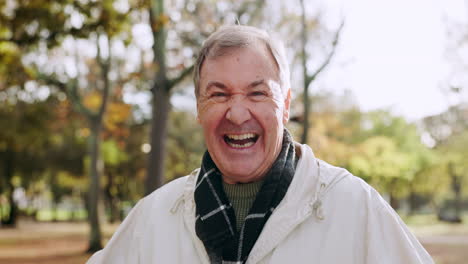 park, laughing and face of senior man with smile