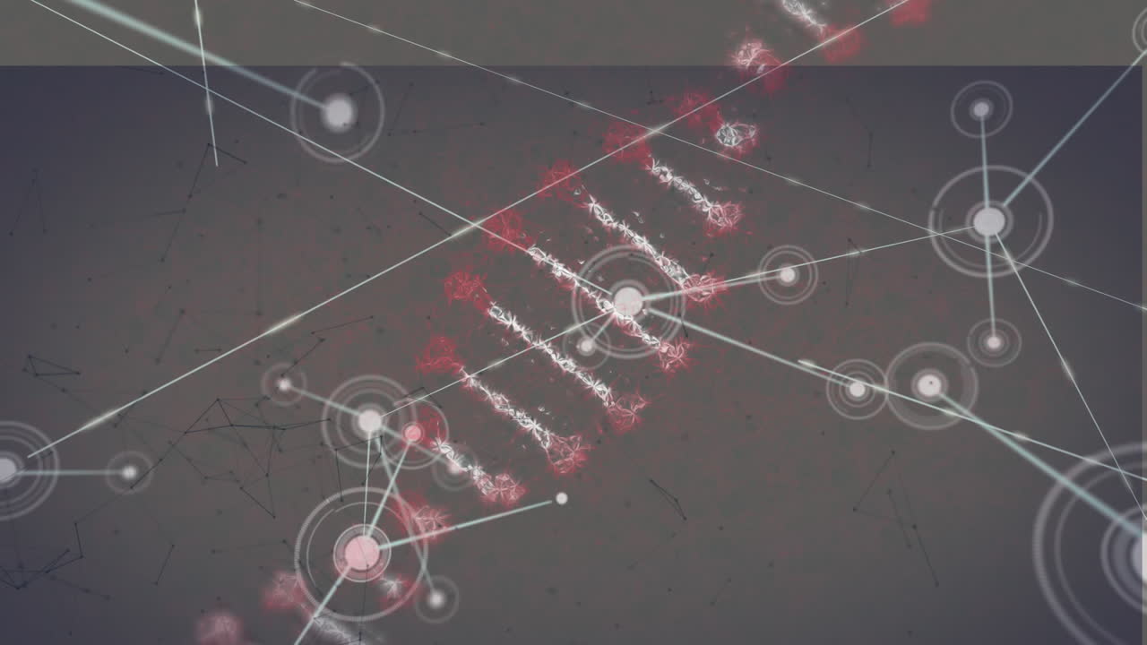 dna 가닥과 연결 네트워크의 애니메이션