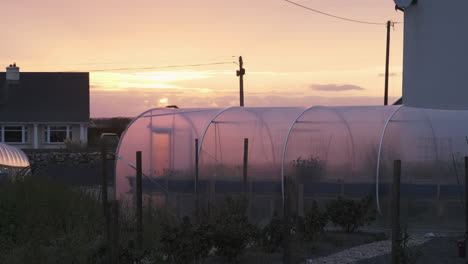 beautiful sunset on small greenhouse