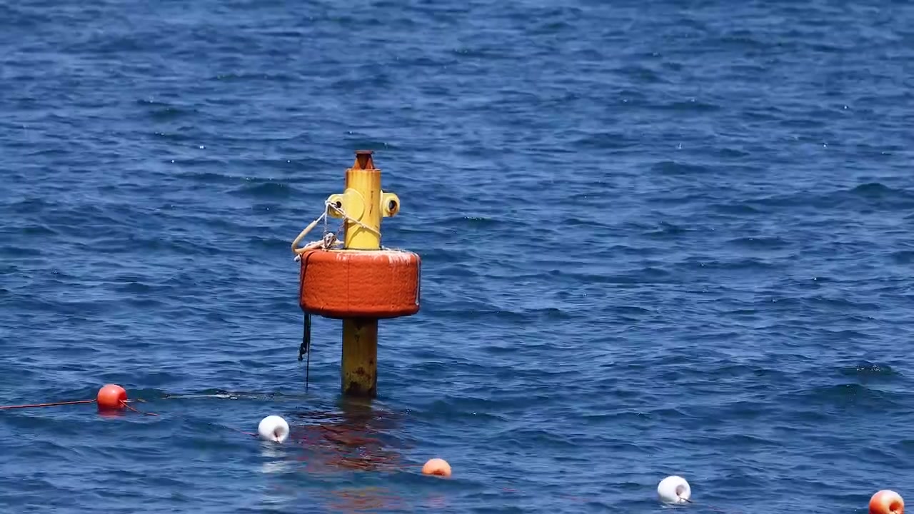 Seagull perched on buoy in calm sea