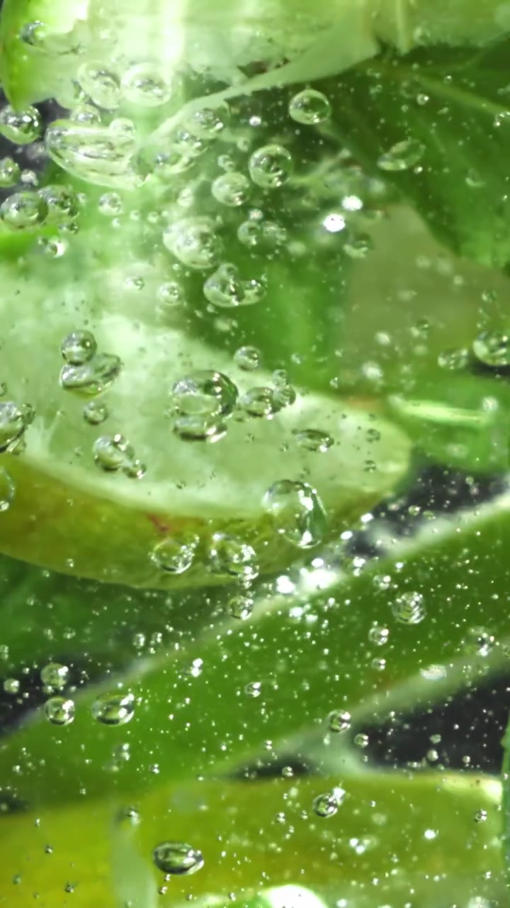 Fette rinfrescanti di lime e menta con bolle in acqua frizzante