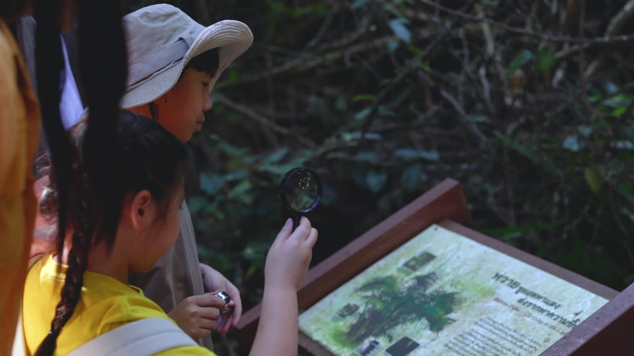 Two children explore nature by reading an educational sign with magnifying glasses in a forest