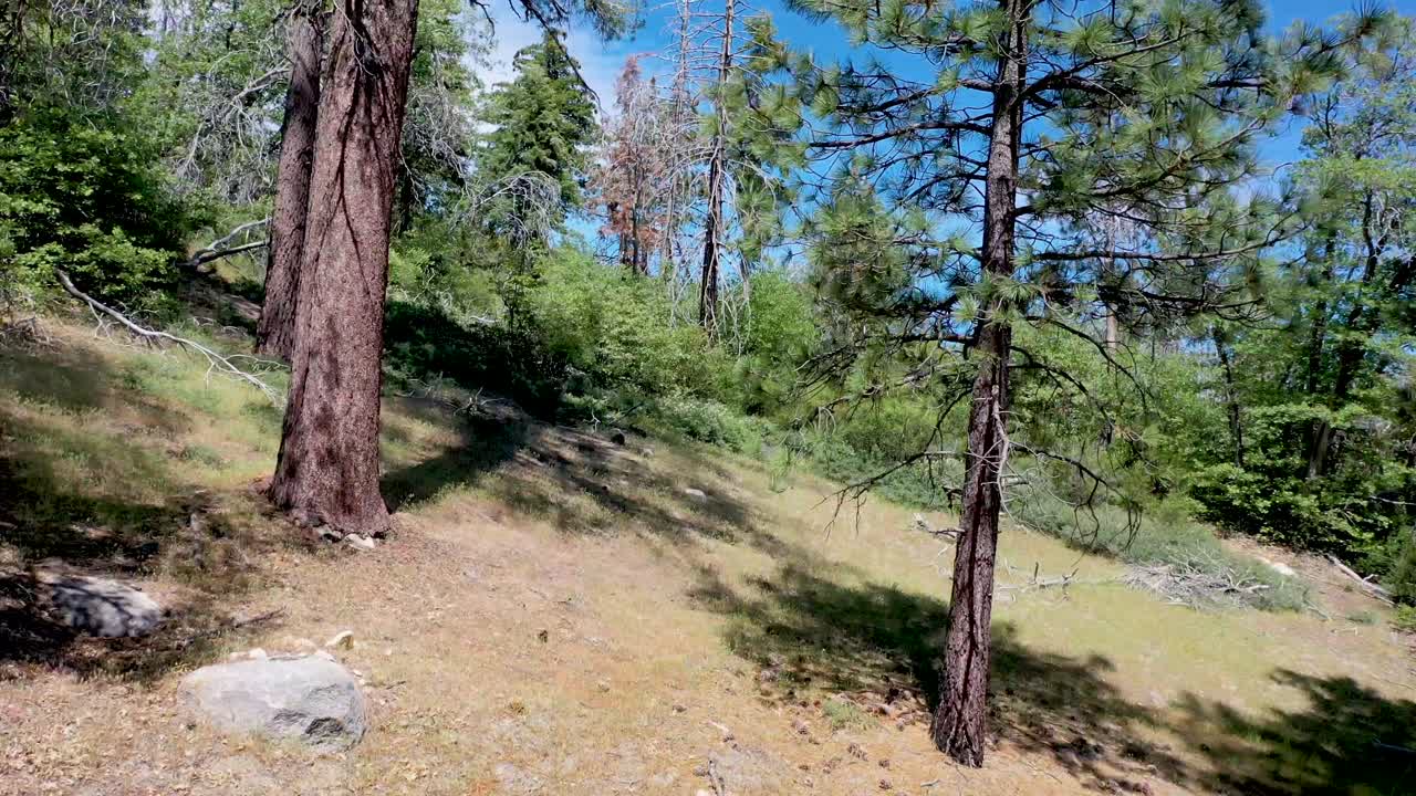Veduta aerea vicino al lago Green Valley in California