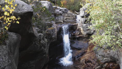 gorgeous panning shot of the screw auger falls in autumn