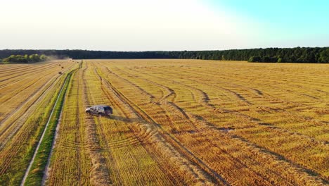 rural road in field. aerial view of the car passing through field