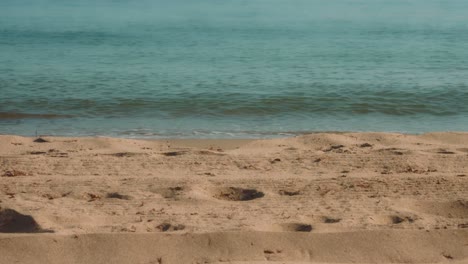 Calm-ocean-waves-on-the-coastline