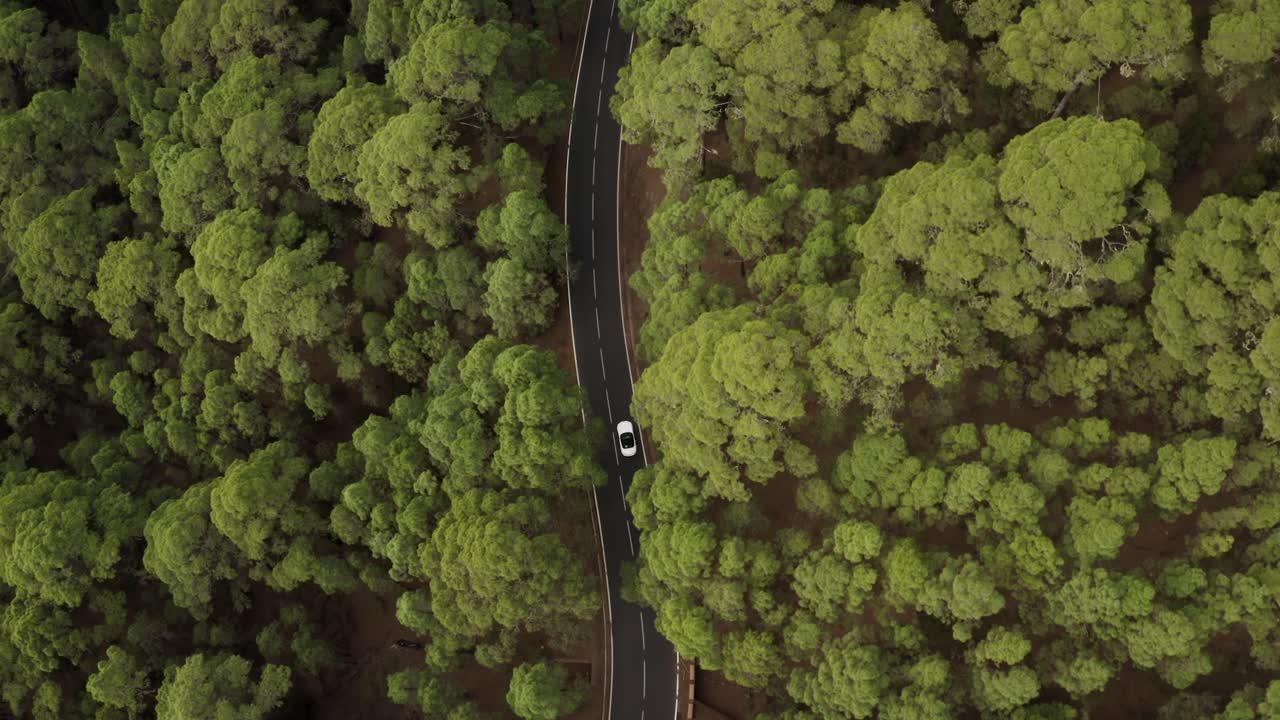 Vista aerea dall'alto di un'auto che guida su una strada di campagna in una foresta in una giornata nuvolosa