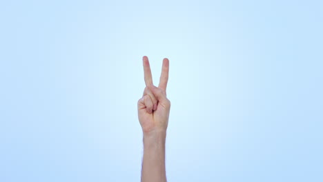 hands, counting and person in studio on mockup