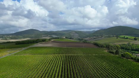 Fabelhafte-Luftaufnahme-Von-Oben,-Flug,-Meditative-Landschaft,-Weinfeldtal-Der-Toskana,-Italien,-Herbst