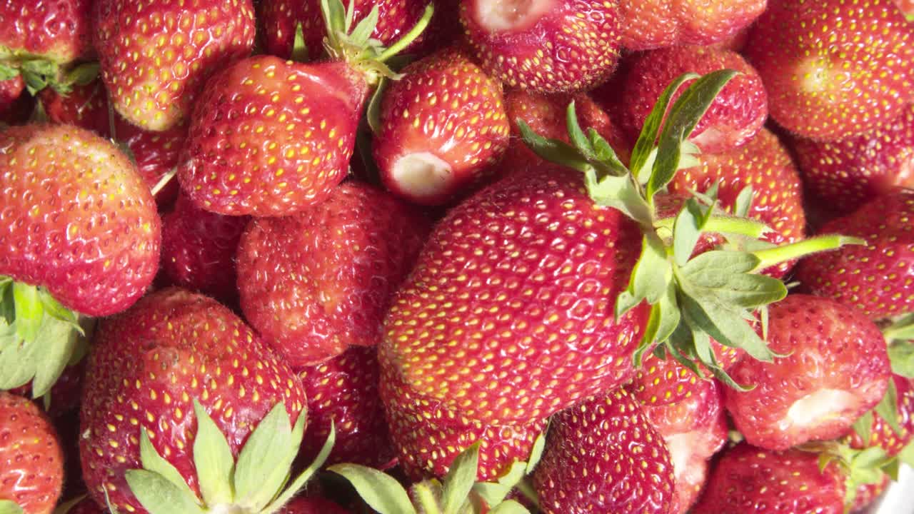Sfondo fragole. Sfondo cibo. Fragole appena raccolte.