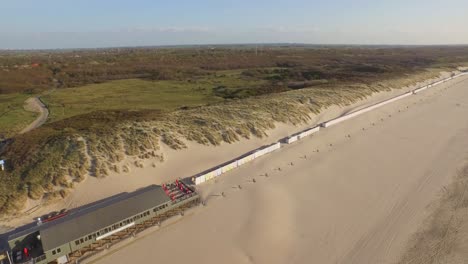 antena: la reserva natural de dunas de oostkapelle con potros pastando