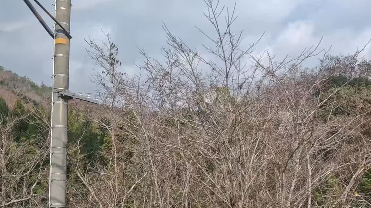 움직이는 열차 창문에서 지나가는 풍경.