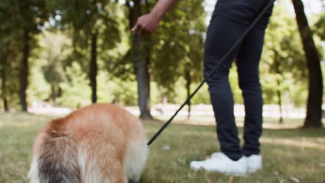 woman going for a walk with her dog