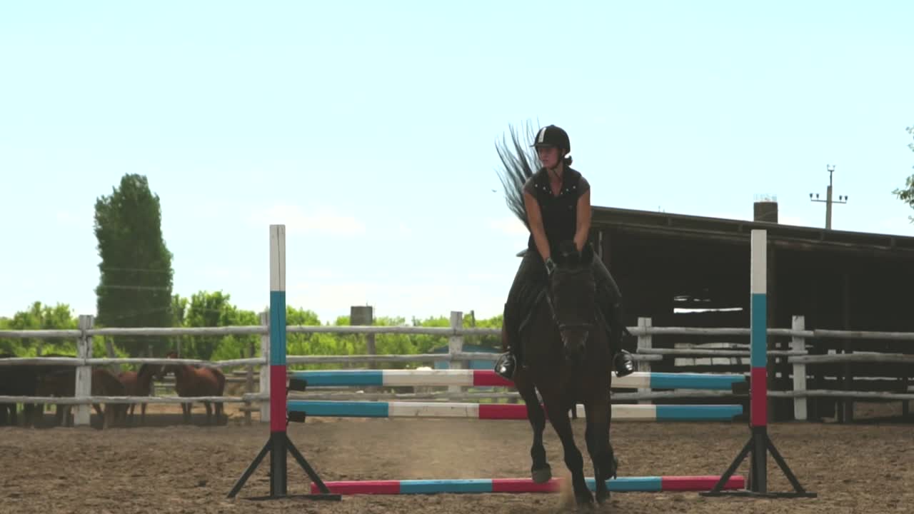 Competição de Salto de Cavalo