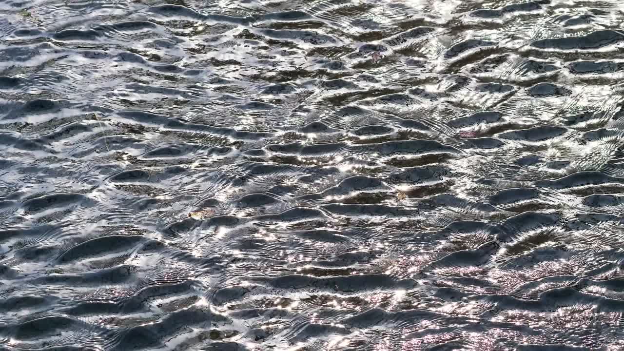 빛에 반이는 파동, 4k 느린 동작 영상 루프 가능 효과