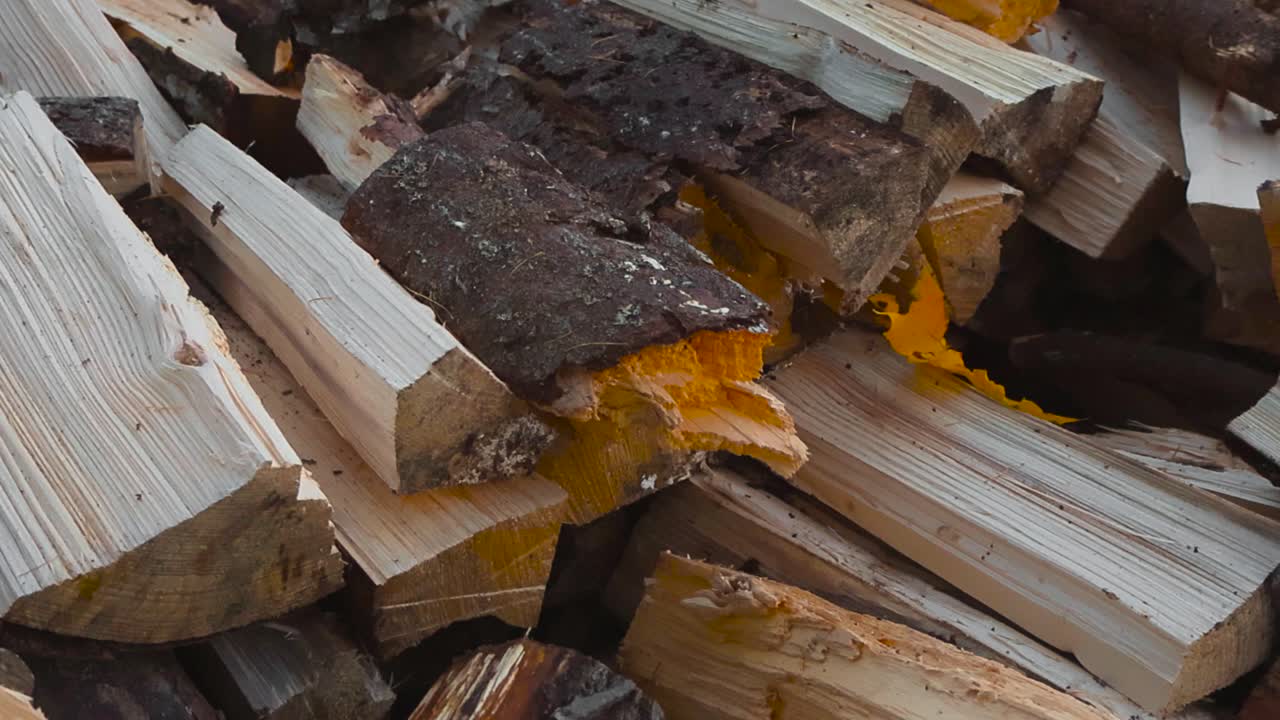 Close up view of freshly borken and split pine and birch forewood in a pile outdoors in a cloudy garden with golden yellow autumn fallen leaves visible. Shallow depth of field, bokeh blurry background
