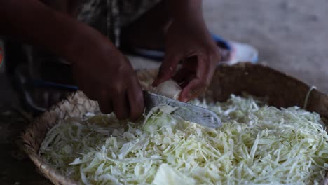 verduras de repollo picadas por comida tradicional indonesia
