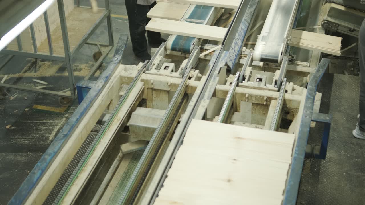 Worker Feeds Wood Planks onto Conveyor Belt in Woodworking Factory