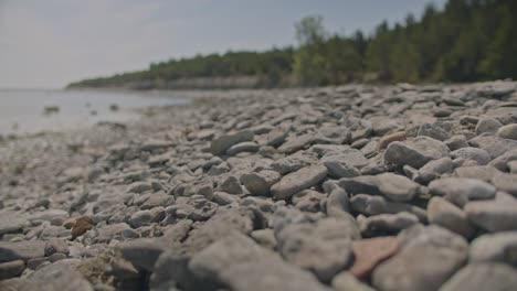 Pebble-beach