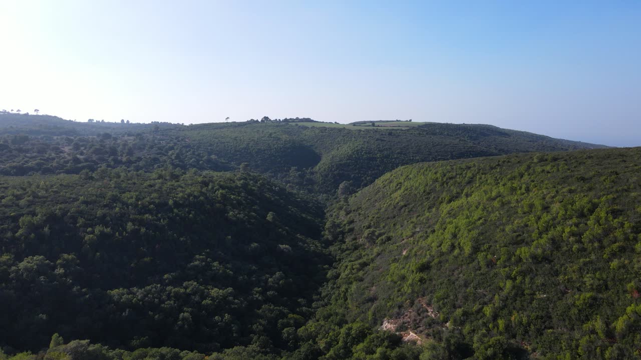 Luftfoto af grøn skov på bakker, skovlandskab