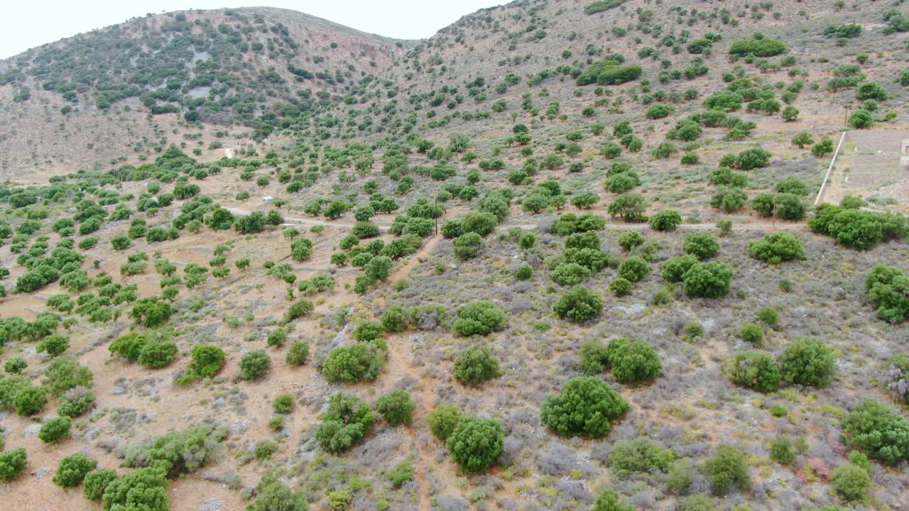 Dry arid landscape with green clumps of trees and bushes on hillside, Crete, Greece