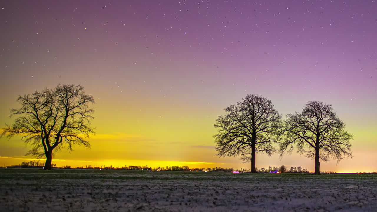 Time lapse of night sky shows moving stars and a falling meteor above three bare trees in a snowy field with a purple and yellow glow on the horizon