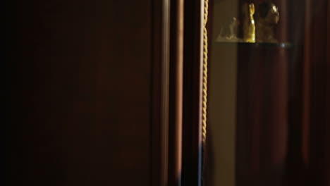 Woman-taking-a-bottle-of-wine-from-cupboard