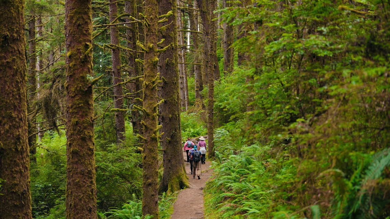 Group of people walking along a forest trail together