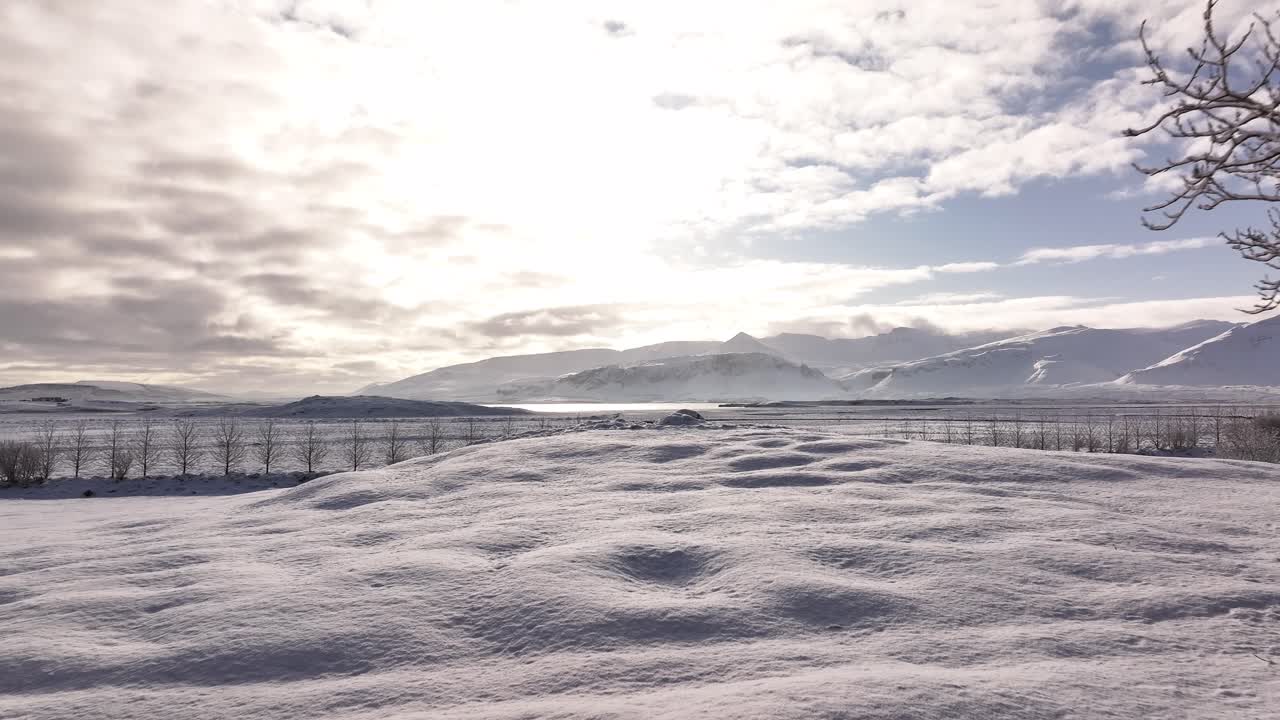 frozen winter trees and soft fjord light in peaceful mountain silence