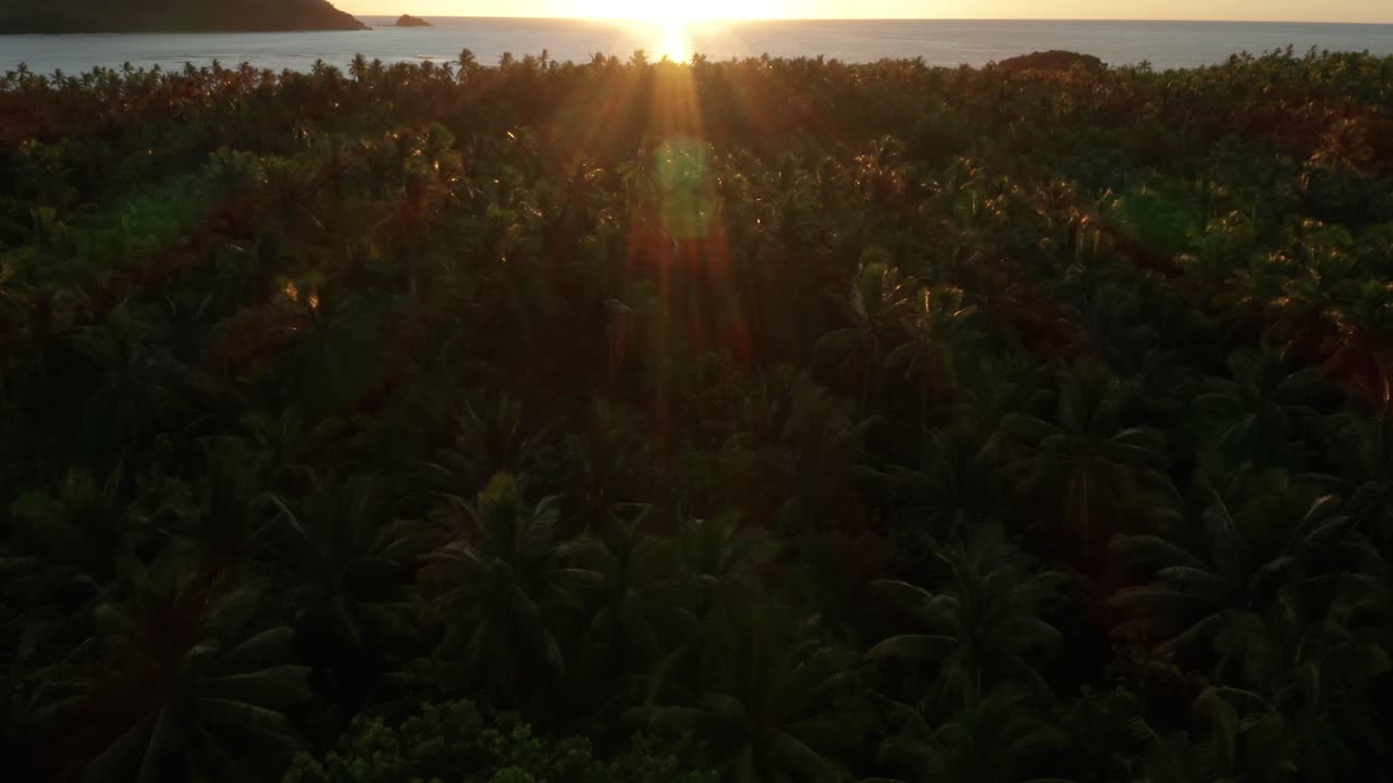 el exuberante bosque verde de cocoteros, la impresionante playa y la montaña debajo de la brillante y resplandeciente puesta de sol en fiji - toma aérea