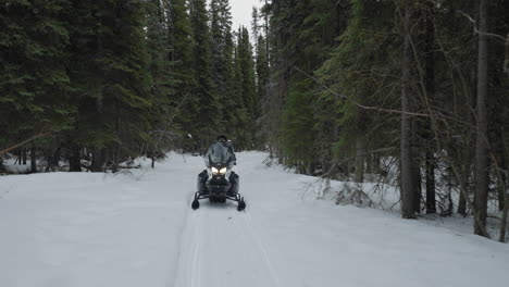 paseo en moto de nieve por el bosque en invierno