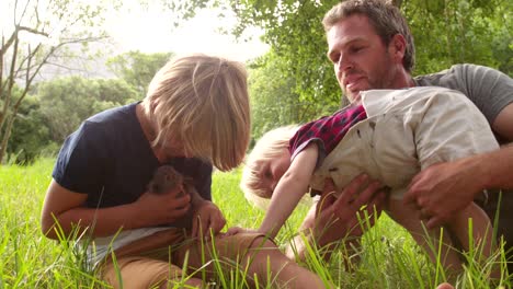 father and his boys with bunny in park