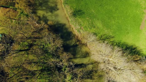top view of the tree's in the farm
