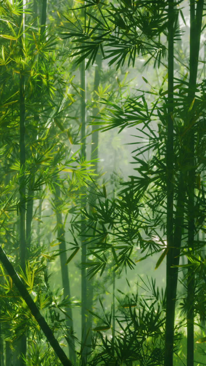 el bosque de bambú verde y exuberante