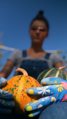 woman harvesting pumpkins