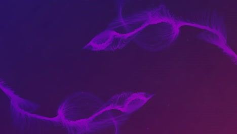 animation of purple light trails over purple background