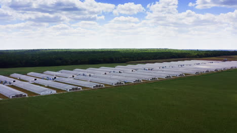aerial view of industrial poultry house in the country. modern factory exterior.
