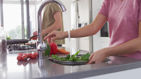 Video-of-midsection-of-diverse-couple-preparing-vegetables-for-cooking