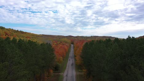 Herbstbrummen-Von-Kiefern-Und-Enthüllen-Farbe