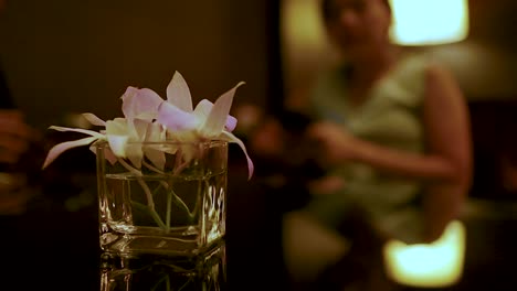 a serene moment with flowers and a woman