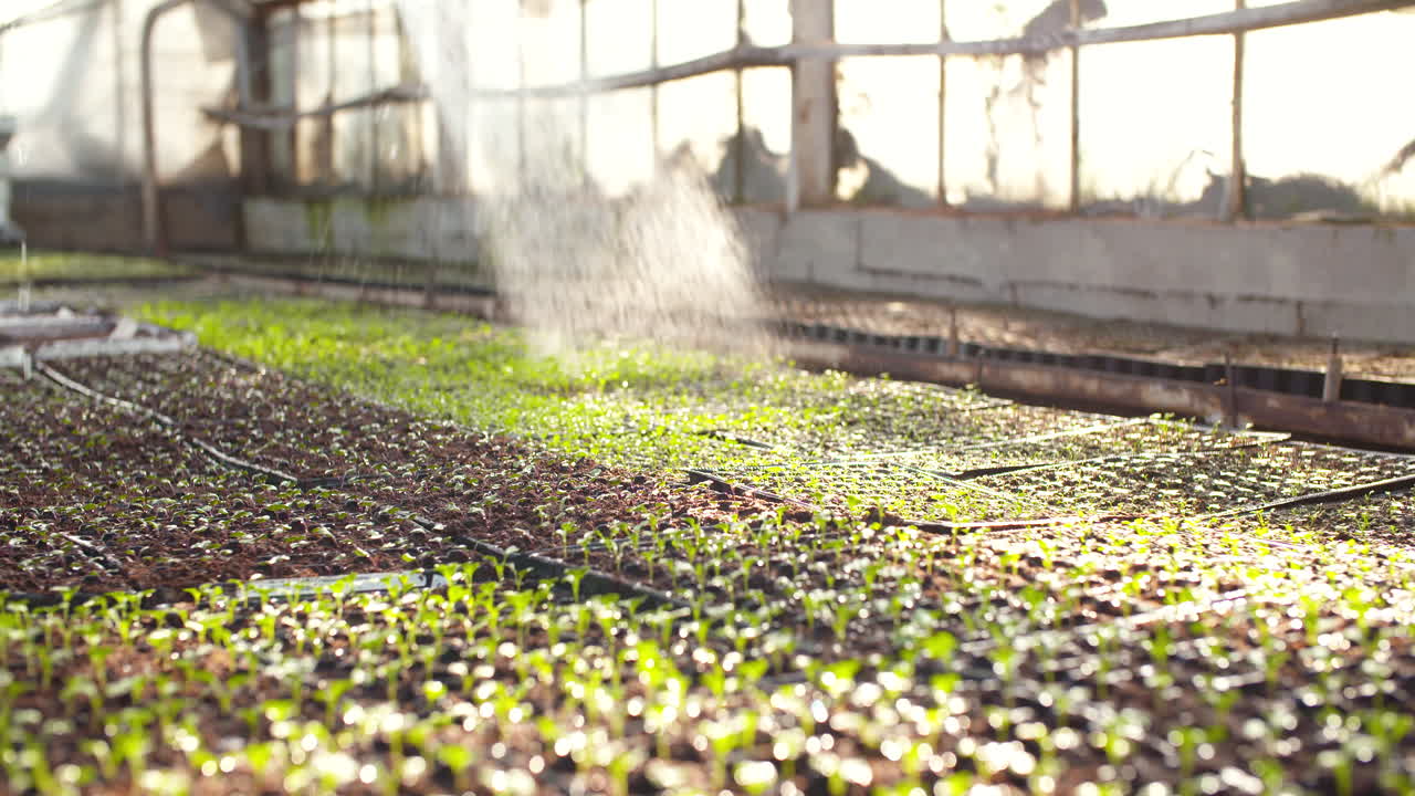 화분을 조사하는 젊은 여성 식물학자 31