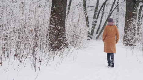 Una-Mujer-Joven-Camina-En-Un-Tiro-De-Steadicam-Del-Parque-De-Invierno