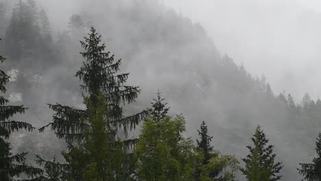 Rainy-day-in-Alpine-valley-with-low-clouds,-Logarska-dolina,-Slovenia,-clouds-and-fog-slowly-moving-behind-trees,-unpredictable-mountain-weather,-danger-for-hikers-and-climbers,-HD,-pan-to-left