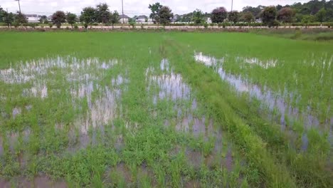 Drone-shots-of-Udon-Thani-in-Northern-Thailand-10