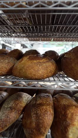cooling bread on metal racks