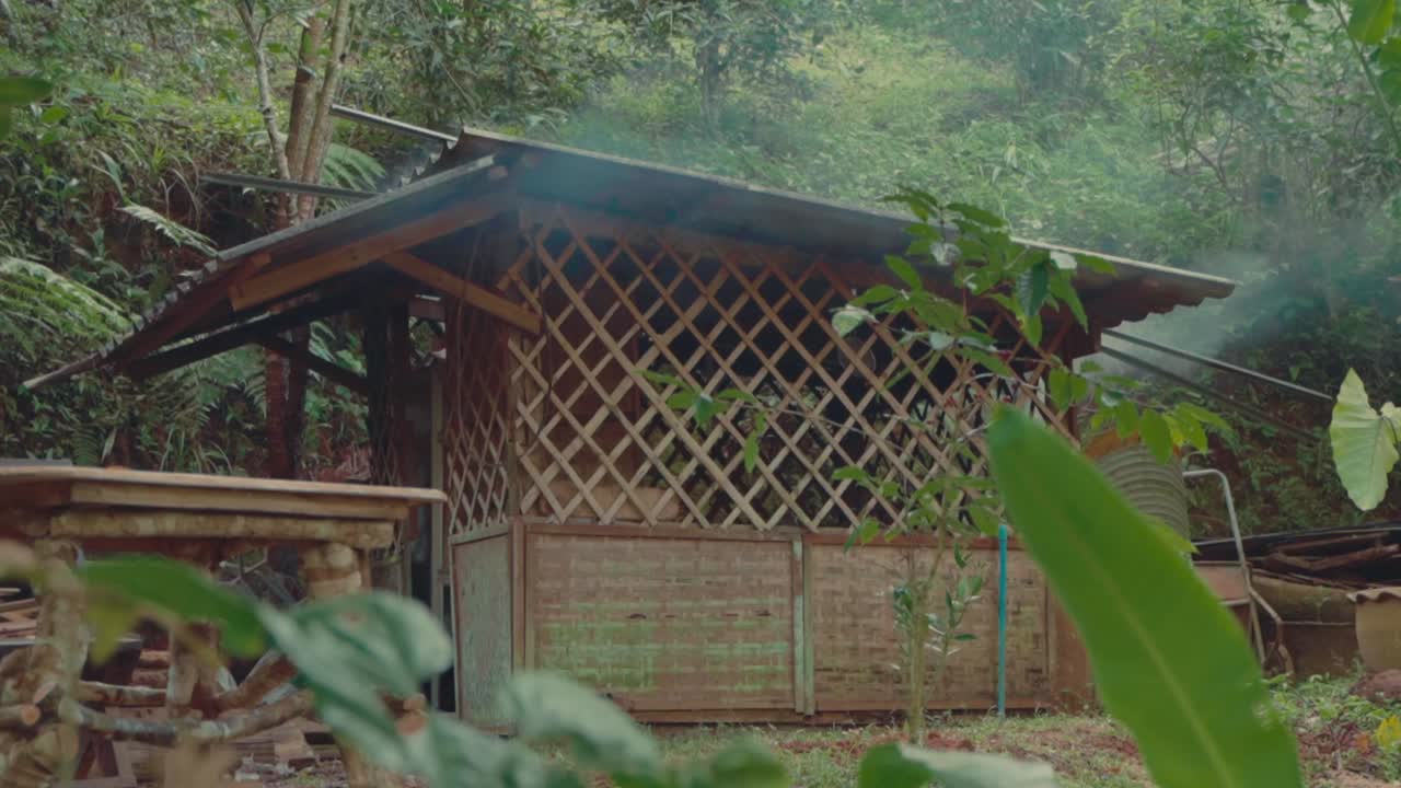 A wooden tea-processing hut surrounded by lush forest. Perfect for rural lifestyle, sustainable farming, or documentary visuals.