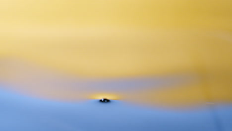 Close-up-real-of-water-drop-falls-into-the-water-and-diverging-circles-of-water-with-a-smooth-color-background-in-the-studio-with-copy-space-for-place-a-text-for-advertisement