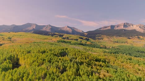 Espen-Drehen-Am-Kebler-Pass,-Colorado